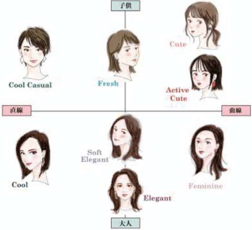 まずは「生まれ持った顔立ち」の「顔タイプ」を診断する