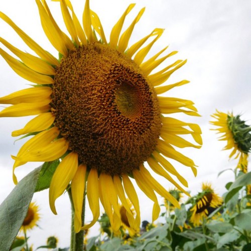 素敵な一日!美容室BASSA江古田店