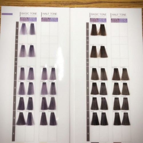 春夏新色カラー