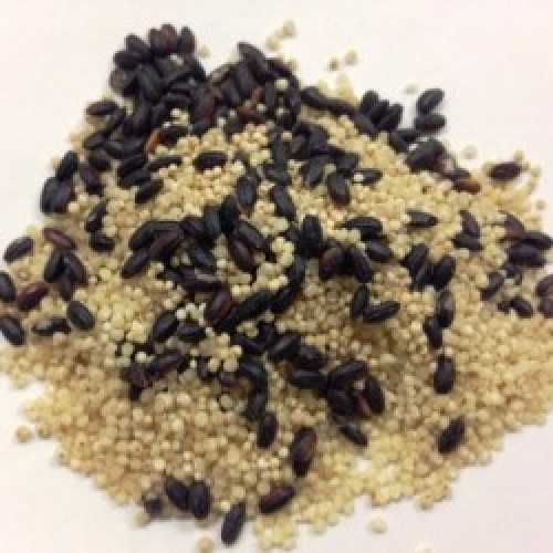 髪にもいいんだって!カンタン美髪粥レシピ