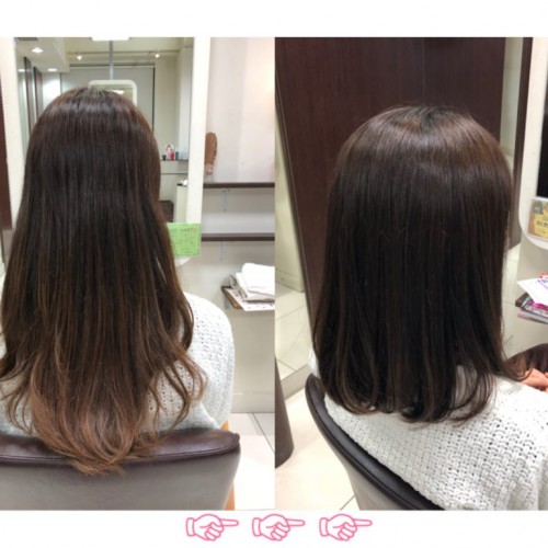 カットモデル☆ミ