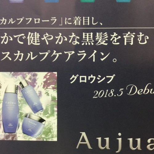 ☆Aujuaから待望の育毛シリーズ登場☆