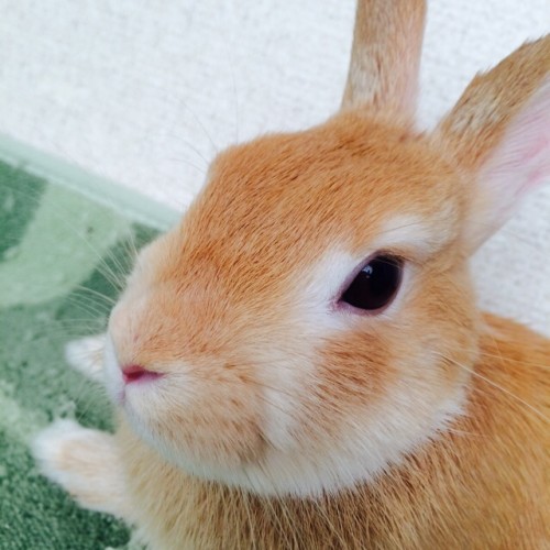 ☆美容師さんハサミっていくらくらいするの?☆