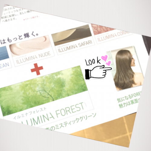 イルミナカラー新色入荷!人気のマット系カラー「FOREST」