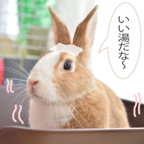 美と健康♪話題の333入浴法を実践!!