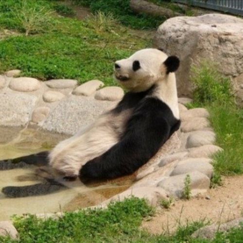 冷えの原因!⑦毎日の何気ないストレスが慢性的冷えに関係している?! 冷えの7つの要因最終回。