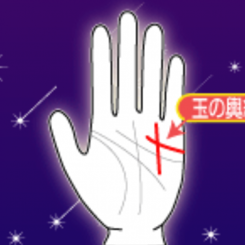 明日は何の日??1月20日は玉の輿の日♪♪♪
