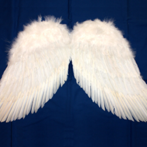 2月17日今日はなんの日?なんと!!今日は天使のささやきの日らしい!!