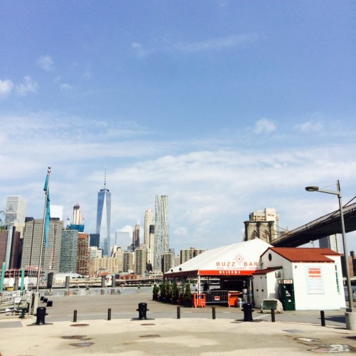 NYMILBONセミナー2日目編