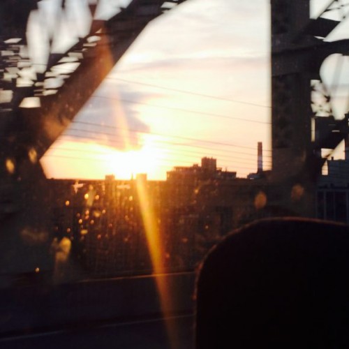 NYMILBONセミナー4日目編