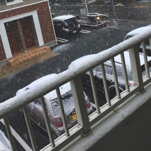 シャンプー練習 *