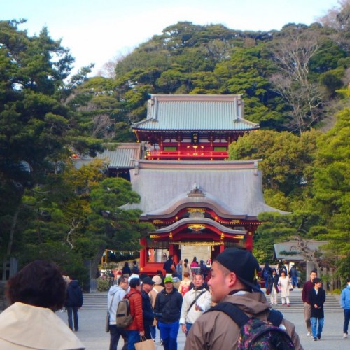 今年も始まります。