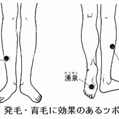 髪にいいツボ
