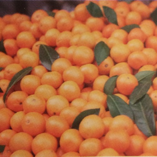 記念日はレストランにて