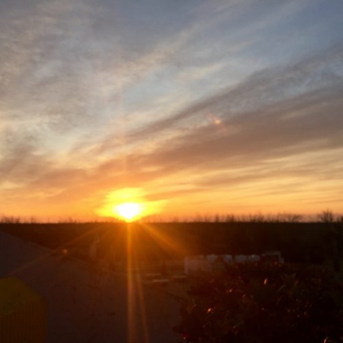 久米川店のアイドル!!宅石さんを切ってみた