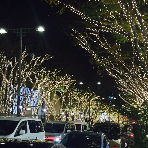 カラー剤で艶艶に♡