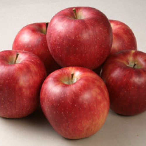 ストレートデジタルパーマ