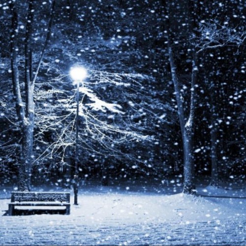 雪の日と美肌♡