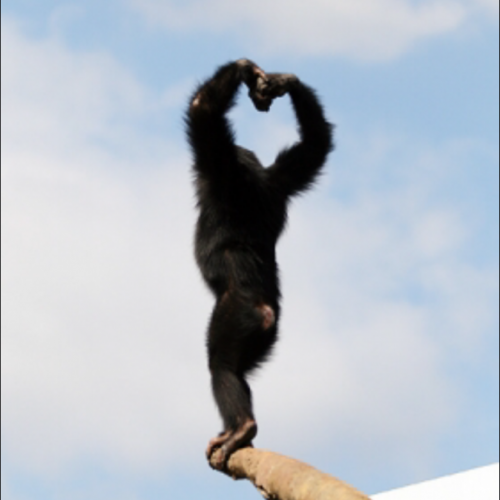 NEW   キュア始まりました!