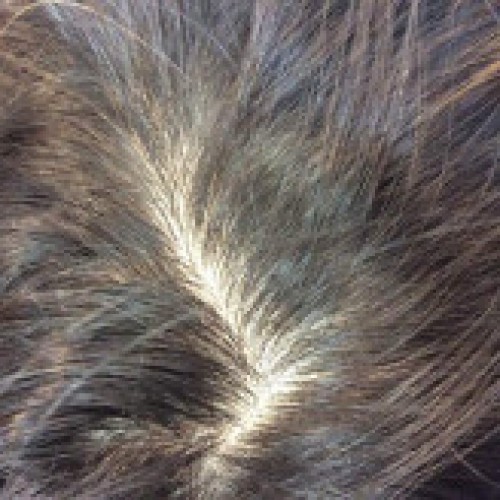 簡単ヘアアレンジ☆彡