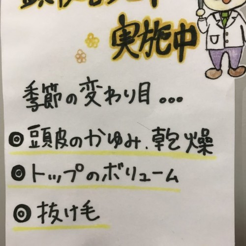 頭皮気にしてますかー???