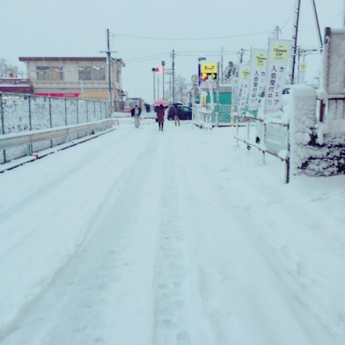 『UNITED DANKS 就職フェア』を開催しました!