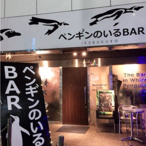 ペンギンのいるBAR
