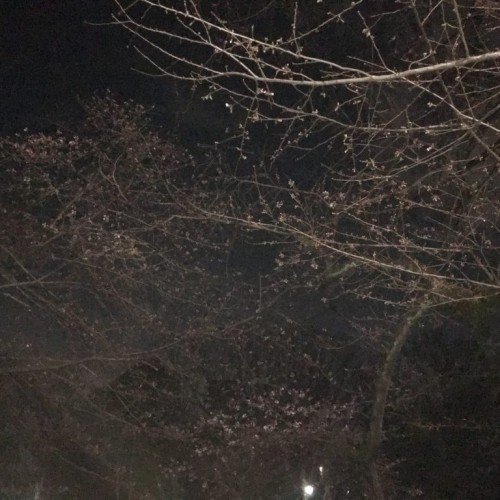 パーマパーマメンズパーマ!