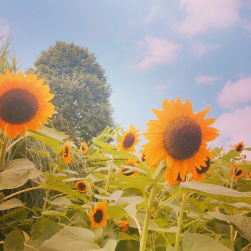 カット講習の後は…