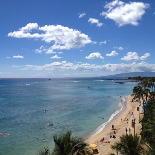 ハワイに行きたい….