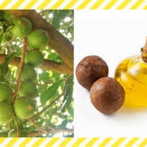 ☆髪の乾燥は栄養不足?冬でも潤う美髪は内側と外側から徹底ケア8☆