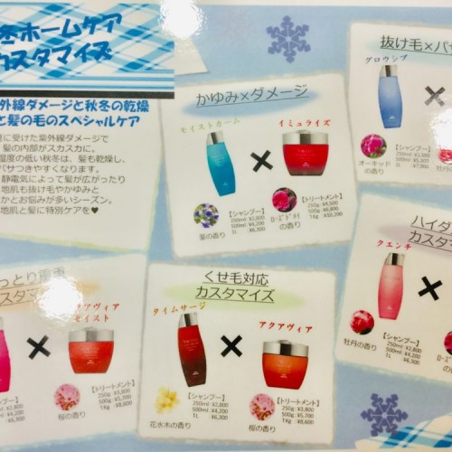 冬の乾燥にオススメするシャンプー、トリートメント☆BASSA新所沢店☆