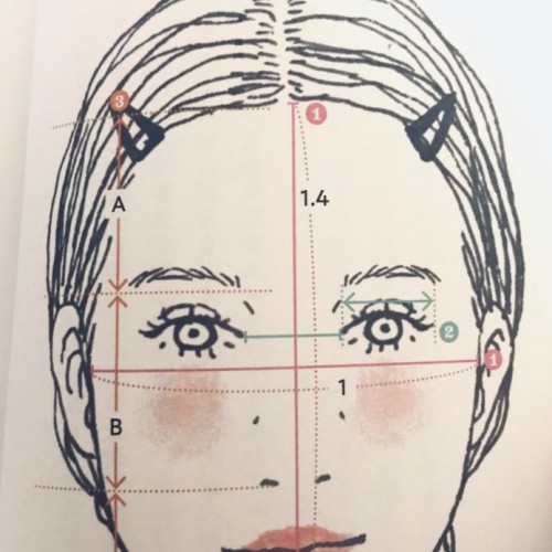 顔型診断☆黄金比率のバランスは?☆美容室BASSA花小金井