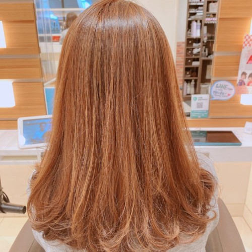 おすすめ!ハイライト!