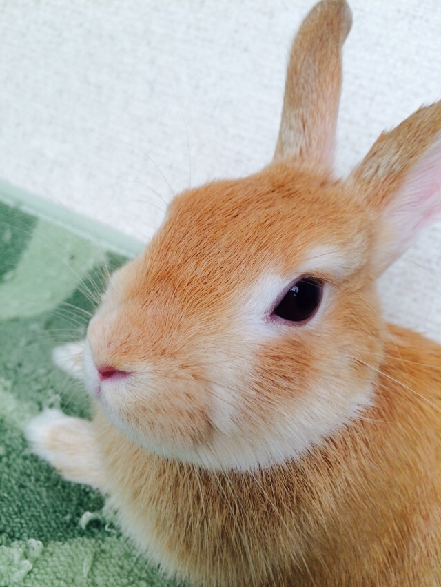 ☆美容師さんハサミっていくらくらいするの？☆