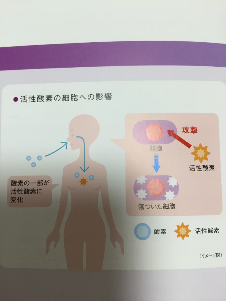 肌と髪のエイジングケアのお話