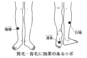 髪にいいツボ