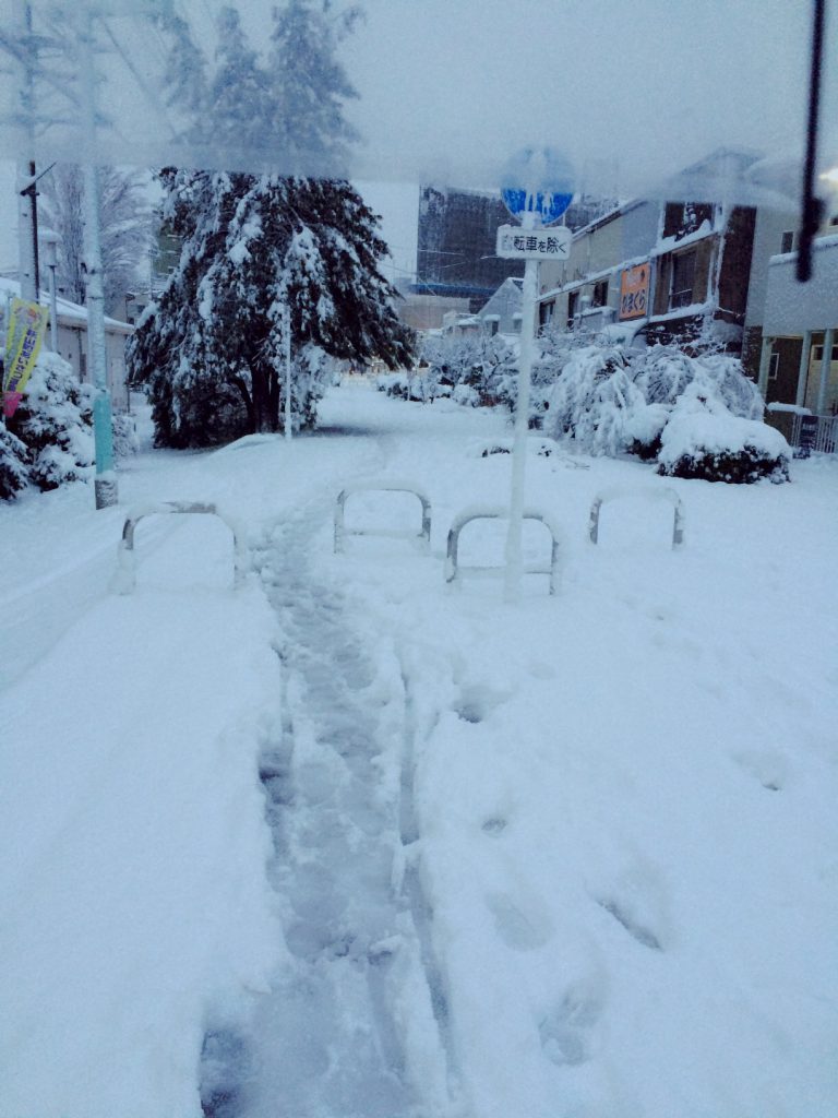 初雪です(*ﾟーﾟ*)