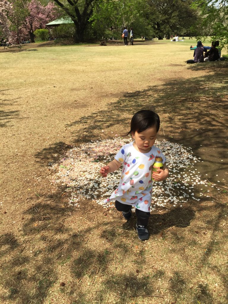 新宿御苑でお花見