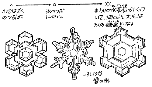 ☆雪はどうしてふるのか知ってますか？☆