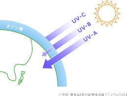 ☆UVとキューティクルとは☆