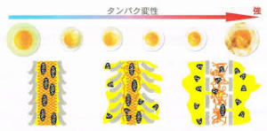 ☆髪の乾燥は栄養不足？冬でも潤う美髪は内側と外側から徹底ケア１２☆