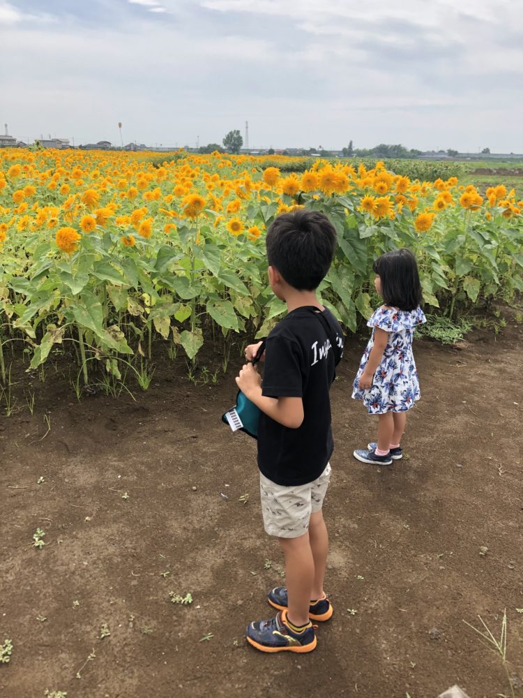 美容師の休日