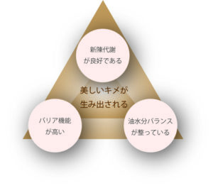 ・新陳代謝が良好である ・油水分バランスが整っている ・バリア機能が高い