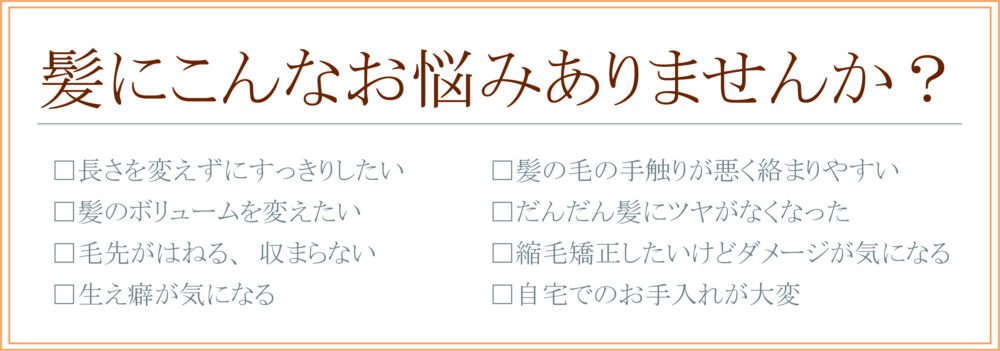 髪にこんなお悩みありませんか？ □長さを変えずにすっきりしたい □髪のボリュームを変えたい □毛先がはねる、収まらない □生え癖が気になる □髪の毛の手触りが悪く絡まりやすい□だんだん髪にツヤがなくなった□縮毛矯正したいけどダメージが気になる□自宅でのお手入れが大変 リセッターカット