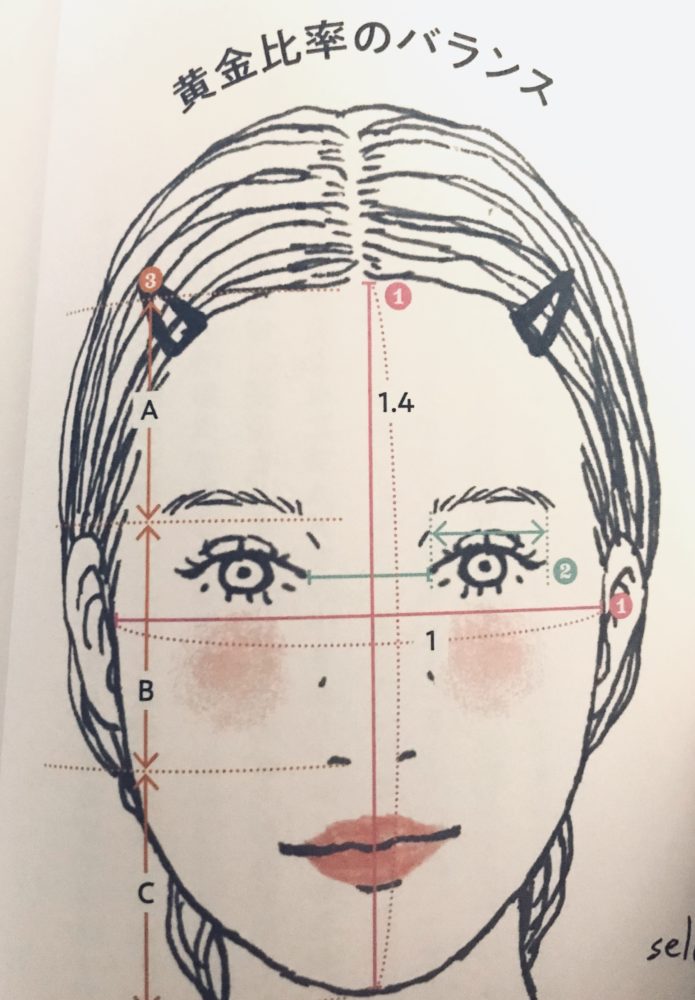 顔型診断 黄金比率のバランスは 美容室bassa花小金井 美容室bassa バサ